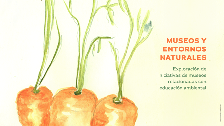 Título Museos y entornos naturales junto a ilustración de zanahorias