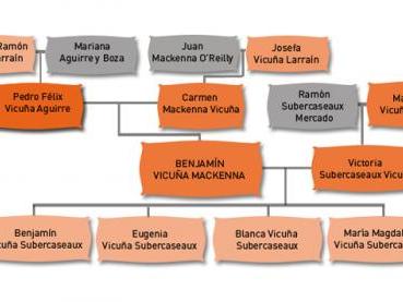 Familia de Benjamín Vicuña Mackenna