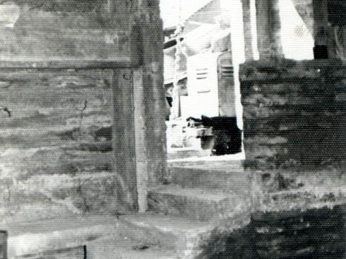 Construcción del Museo