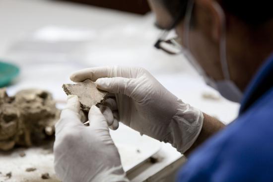 Trabajador, vestido de azul y con guantes de látex blancos, revisa fragmento cerámico, parte de la colección del museo.