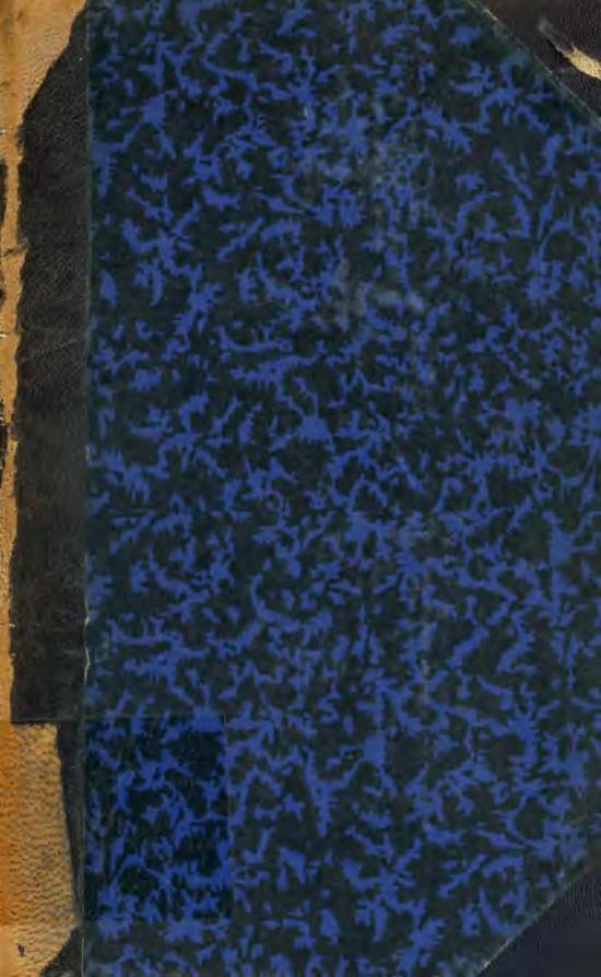 Del origen de los Vicuñas