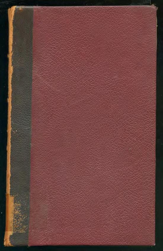 San Martín en marcha al Perú