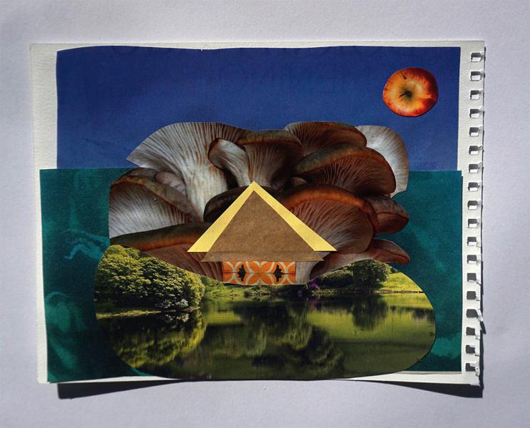 Ana Villalobos. 9 años. Reñaca.