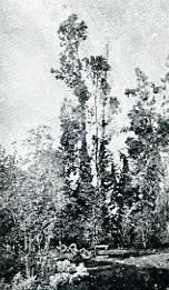 Laguna del parque de la Casa Quinta