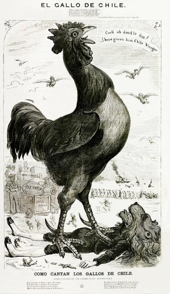 «El gallo de Chile»